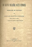 Pinneri.jpg